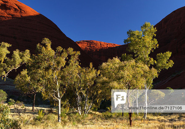 Landschaftlich schön  landschaftlich reizvoll  Olgas  Kata Tjuta  Einsamkeit  Australien  Northern Territory  Rotes Kliff