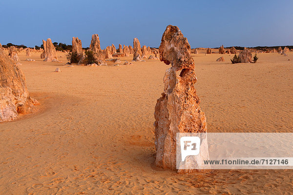 Nationalpark Sonnenuntergang Wind Küste Geologie bizarr Wüste Sand Unterricht Berggipfel Gipfel Spitze Spitzen Australien Blaue Stunde Erosion Westküste Western Australia