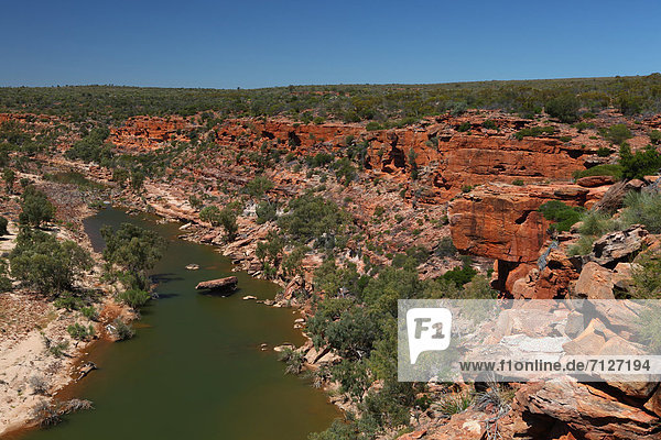 Küste  Landschaftlich schön  landschaftlich reizvoll  Natur  fließen  Fluss  Ansicht  Schlucht  Australien  Kalbarri  Rotes Kliff  Westküste  Western Australia