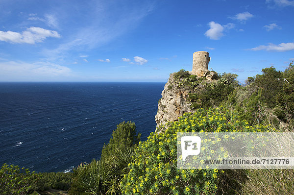 Außenaufnahme  Landschaftlich schön  landschaftlich reizvoll  Europa  Tag  europäisch  Küste  niemand  Meer  Natur  Insel  Mallorca  Balearen  Balearische Inseln  Banyalbufar  freie Natur  Spanien  spanisch