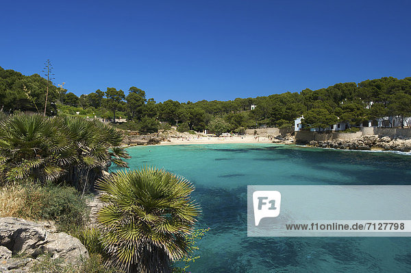 Außenaufnahme  Landschaftlich schön  landschaftlich reizvoll  Europa  Tag  europäisch  Küste  niemand  Meer  Natur  Insel  Mallorca  Balearen  Balearische Inseln  freie Natur  Spanien  spanisch