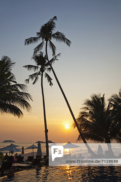 Palme  Urlaub  Strand  Sonnenuntergang  Reise  Meer  Sand  Insel  Asien  Klong Prao Beach  Palmenstrand  Paradies  Thailand  Tourismus