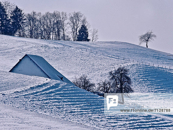 Dach Landschaftlich schön landschaftlich reizvoll Bauernhaus Schneedecke Winter Wohnhaus Garten Schnee Bauernhof Hof Höfe Emmentaler Kanton Bern Gericht Schweiz