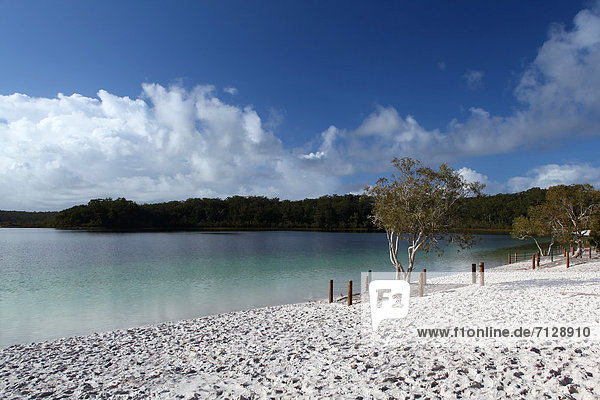 Wasser  Ostküste  ruhen  Strand  Morgen  Küste  See  weiß  Sand  Insel  türkis  Australien  Ökotourismus  Fraser Island  Queensland  Rest  Überrest  Tourismus