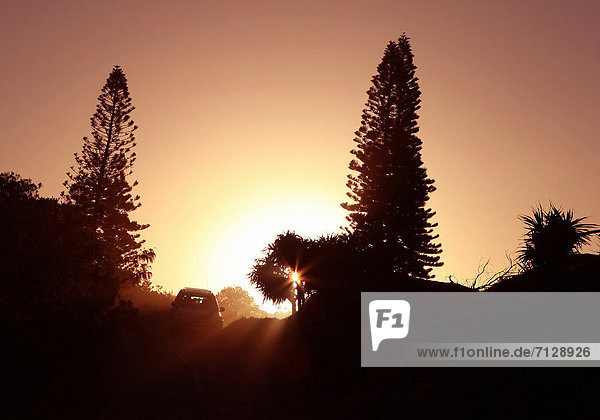 Rollbahn  Abenteuer  Attraktivität  Sonnenuntergang  Sand  steil  Geländewagen  Gegenlicht  Allradantrieb  Australien  Fraser Island  Queensland  Romantik  Tourismus