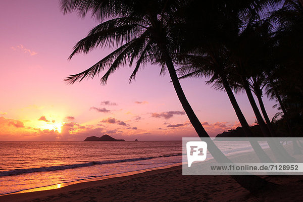 Tropisch Tropen subtropisch Urlaub Ostküste ruhen Strand Himmel Wind Küste Wasserwelle Welle Sonnenaufgang Meer Insel Australien Cairns Queensland Rest Überrest Romantik Sonne