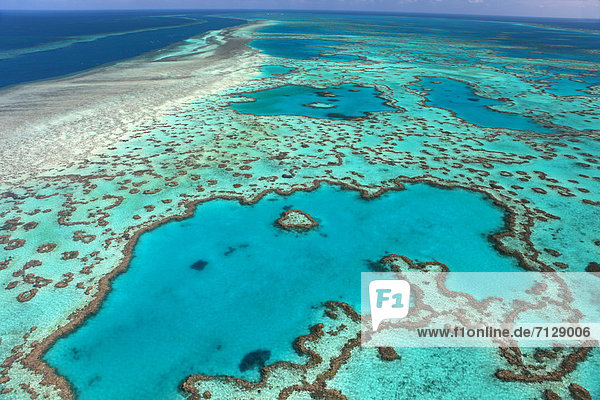 niedrig durchsichtig transparent transparente transparentes Urlaub Entspannung ruhen Reise Attraktivität fliegen fliegt fliegend Flug Flüge Erhöhte Ansicht Aufsicht Meer Gezeiten Natur Yacht Insel seicht Hubschrauber Großes Barriereriff great barrier reef Korallenriff herzförmig Herz schwimmen Hochzeitsreise türkis Liebe Koralle Australien Queensland Riff Rest Überrest Romantik Tourismus Whitsunday Islands Pfingstsonntagsinseln