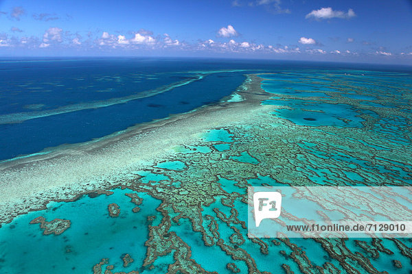 niedrig durchsichtig transparent transparente transparentes Urlaub Entspannung ruhen Reise Attraktivität fliegen fliegt fliegend Flug Flüge Erhöhte Ansicht Aufsicht Meer Gezeiten Natur Insel seicht Hubschrauber Großes Barriereriff great barrier reef Korallenriff schwimmen türkis Koralle Australien Queensland Riff Rest Überrest Romantik Tourismus Whitsunday Islands Pfingstsonntagsinseln