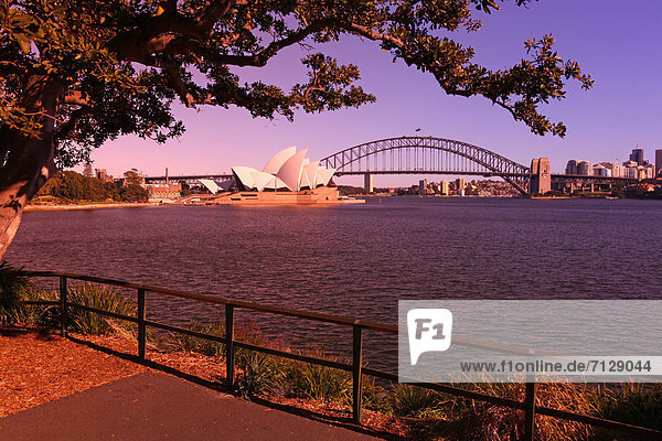 blauer Himmel wolkenloser Himmel wolkenlos Botanischer Garten Botanische Sehenswürdigkeit Wasser Hafen Opernhaus Oper Opern Reise Morgen Großstadt Brücke Australien Metropole New South Wales Oper Sonne Sydney Tourismus