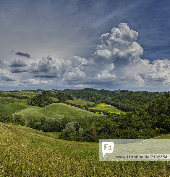Landschaftlich schön  landschaftlich reizvoll  Europa  Hügel  grün  Feld  Toskana  Italien