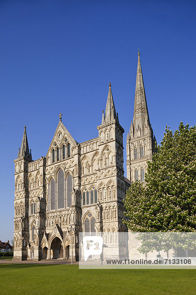 Europa  britisch  Großbritannien  Kathedrale  England  Somerset