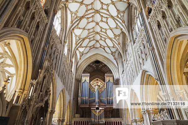 Europa  britisch  Großbritannien  Innenaufnahme  Kathedrale  England  Somerset