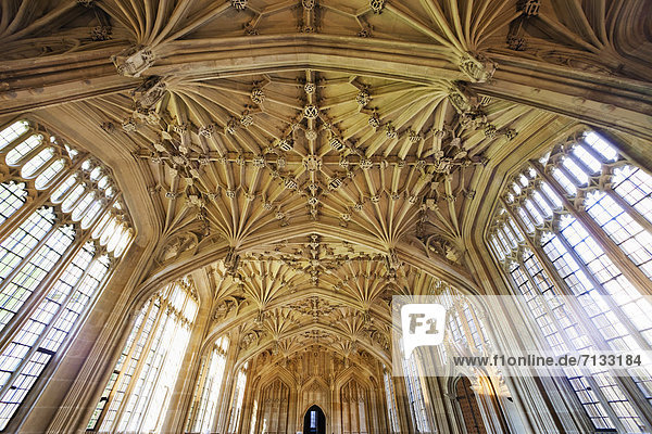 Europa  unterrichten  britisch  Großbritannien  Innenaufnahme  Bibliotheksgebäude  England  Oxford  Oxford University  Oxfordshire  Universität