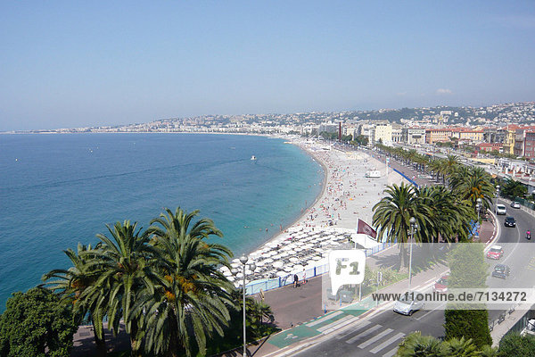 France Europe Nice Nice Côte d'Azur beach seashore promenade of the Anglais palms