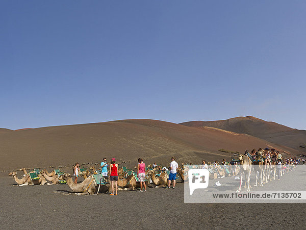 Spain  Lanzarote  Parque Nacional  national park  Timanfaya  Camel ride  Fire mountains  landscape  summer  mountains  hills  people  Canary Islands  dromedary