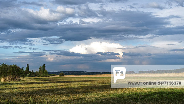 Lake of Biel Erlach peninsula moor way island isle canton Bern nature Switzerland Europe Seeland Petersinsel Twann