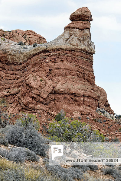 Phallus  Rock Pinnacles  Felsformation aus rotem Sandstein  Arches-Nationalpark  Moab  Utah  USA