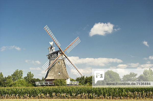 Windmühle in Oldsum  Föhr  Nordfriesland  Schleswig-Holstein  Deutschland  Europa