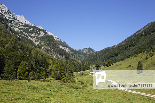 Blumauer Alm  Sengsengebirge im Nationalpark Kalkalpen  Region Pyhrn-Eisenwurzen  Traunviertel  Oberösterreich  Österreich