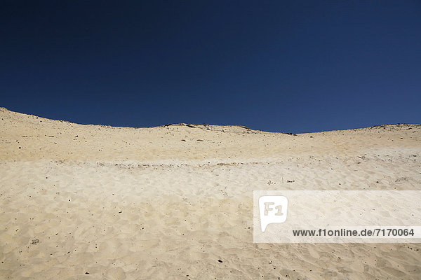 Dunes  dune landscape near Naujac-sur-Mer  Aquitaine region  dÈpartement of Gironde  French Atlantic coast  France  Europe