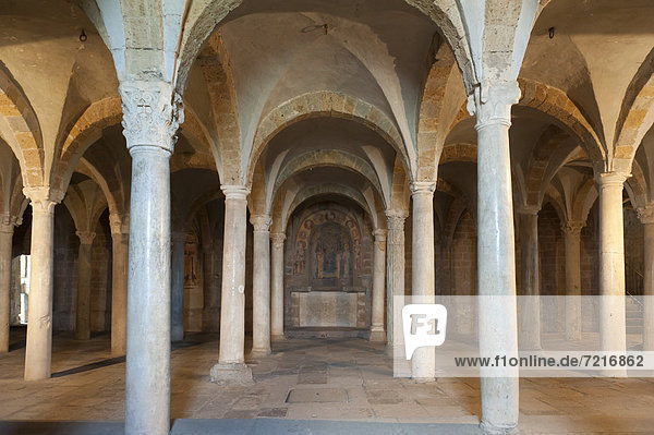 Krypta mit vielen Säulen im Gewölbe  romanische Kirche San Pietro  Tuscania  Latium  Italien  Südeuropa  Europa