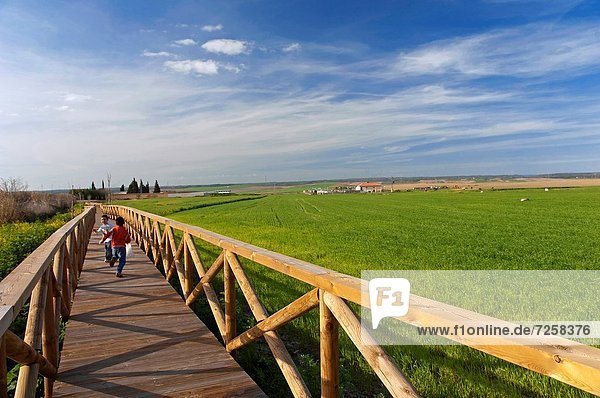 Countryside and tourist boardwalk  La Palma del Condado  Huelva-province  Spain