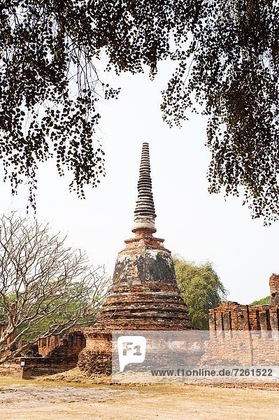 Großstadt  Geschichte  Südostasien  UNESCO-Welterbe  Ayuthaya  antik  Asien  Stupa  Thailand