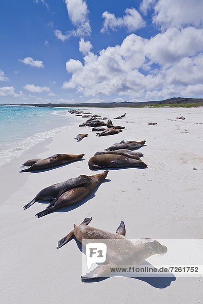 UNESCO-Welterbe Ecuador Galapagosinseln Südamerika