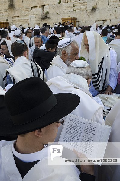 Traditional Cohen's Benediction at the Western Wall during the Passover Jewish festival  Jerusalem Old City  Israel  Middle East