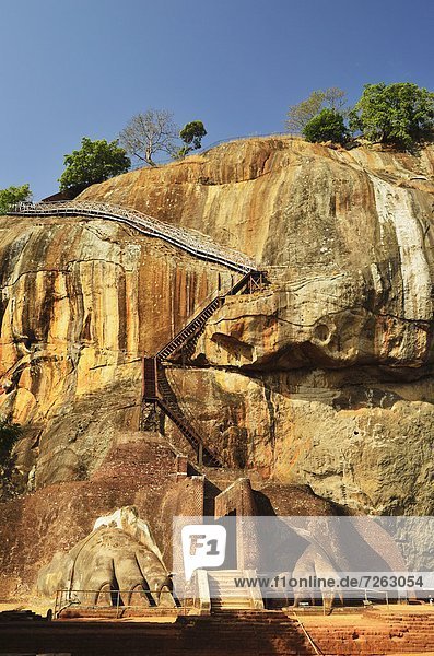 Stufe Felsbrocken führen Löwe Panthera leo hoch oben UNESCO-Welterbe Asien Sigiriya Sri Lanka