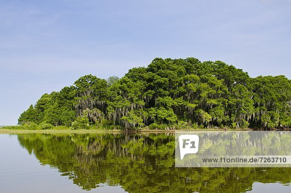 Vereinigte Staaten von Amerika  USA  Nordamerika  Everglades Nationalpark  UNESCO-Welterbe  Florida
