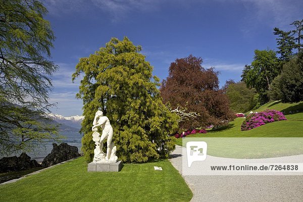 Gardens of Villa Melzi  Bellagio  Lake Como  Lombardy  Italian Lakes  Italy  Europe