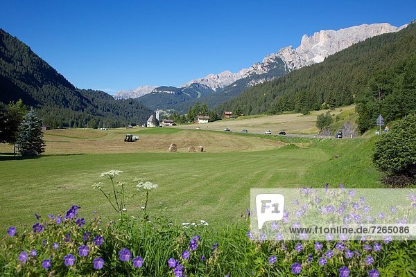 Europa  Trentino Südtirol  Canazei  Italien