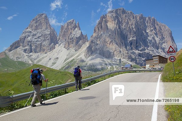 Hikers and Sassolungo Group  Sella Pass  Trento and Bolzano Provinces  Italian Dolomites  Italy  Europe