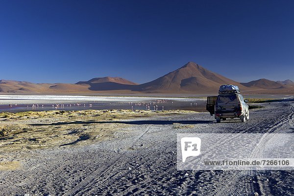 Laguna Colorada (Red Lagoon)  a shallow salt lake in the southwest of the altiplano  within Eduardo Avaroa Andean Fauna National Reserve  Bolivia  South America