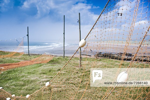Fishing nets drying  Gourdon Bay  Scotland  United Kingdom  Europe