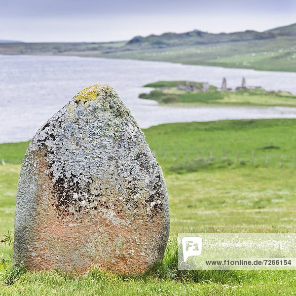 Finlaggan rock  Islay Island  Inner Hebrides  Scotland  United Kingdom  Europe