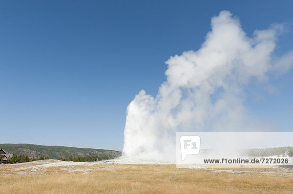 Heiße Quelle  Eruption  Geysir  Wasser-Fontäne  Wasserdampf gegen blauen Himmel  Old Faithful  Upper Geyser Basin  Yellowstone Nationalpark  Wyoming  Westen der USA  Vereinigte Staaten von Amerika  Nordamerika