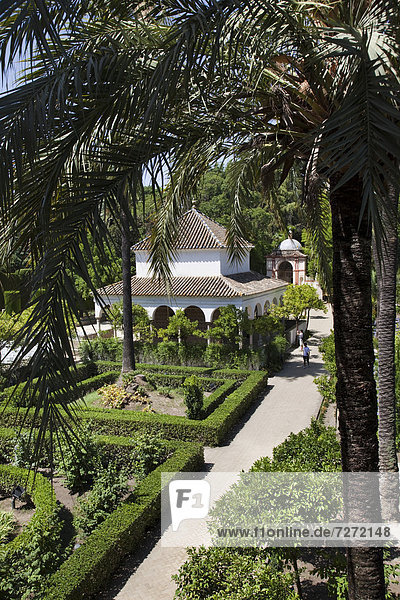 Gärten des Real Alc·zar  UNESCO Weltkulturerbe  Sevilla  Andalusien  Spanien  Europa