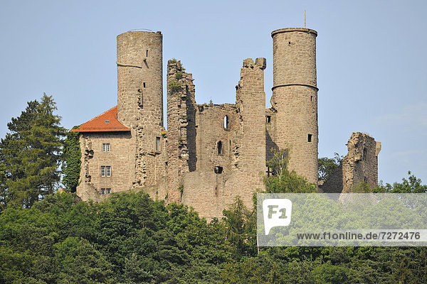 Ruine Burg Hanstein  bei Bornhagen  Thüringen  Deutschland  Europa