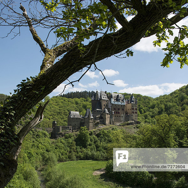 Burg Eltz im Tal der Elz  Ganerbenburg  geschütztes Kulturgut nach Haager Konvention  Wierschem  Rheinland-Pfalz  Deutschland  Europa