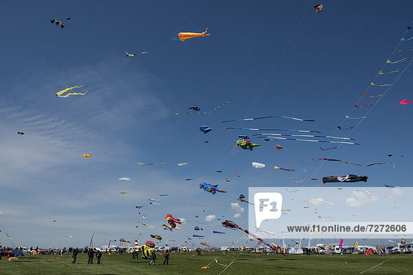 Internationales Windspiel- und Drachenfestival in Norddeich  Ostfriesland  Niedersachsen  Deutschland  Europa