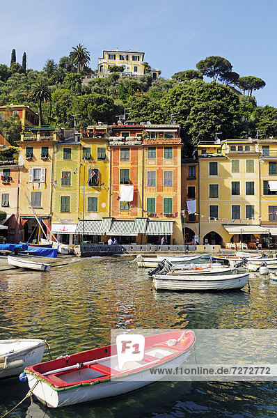 Harbor of the village of Portofino  Riviera  Liguria  Italy  Europe