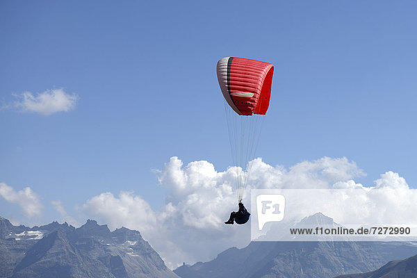 Gleitschirmflieger über den Walliser Alpen  Goms  Schweiz  Europa