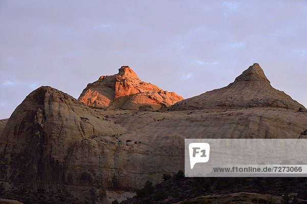 Navajo Dome Felsplateau im Morgenlicht  Capitol Reef Nationalpark  Utah  Südwesten  Vereinigte Staaten von Amerika  USA