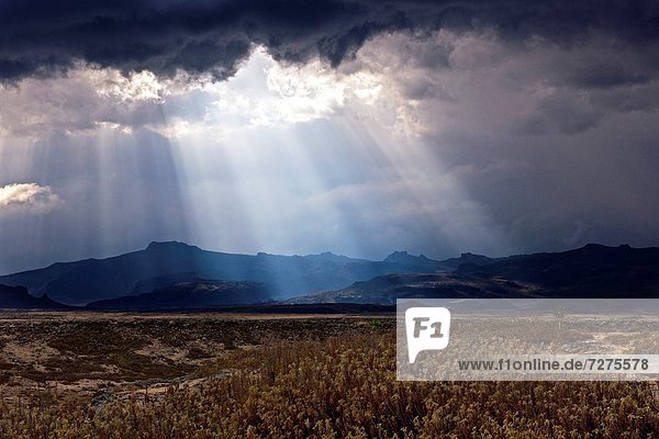 Crepuscular rays shine through clouds in the Web Valley of Bale Mountains National Park  Ethiopia