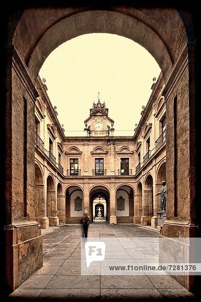 Framed view of a courtyard  University of Seville former Royal Tobacco Factory  Seville  Spain