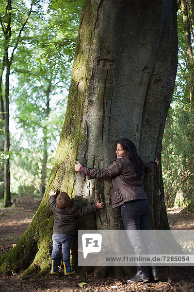 Mutter und Sohn umarmen Baum im Wald