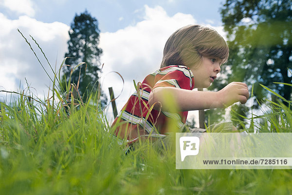 Junge spielt im Grasfeld