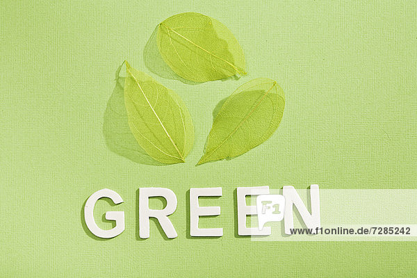 Papierschnitte aus Grün mit Blättern